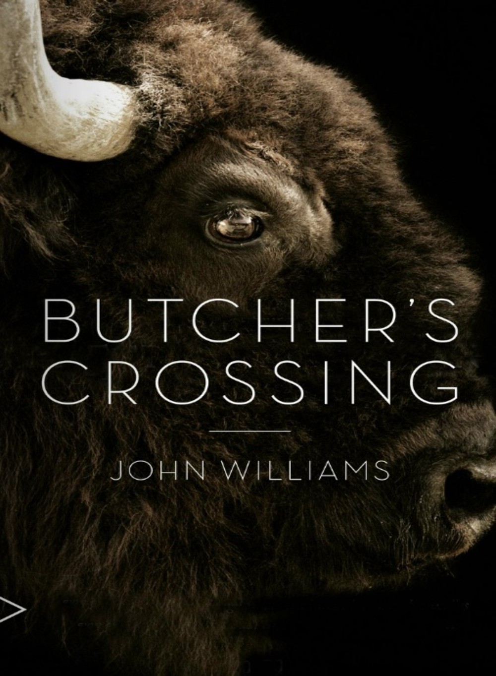 butcher s crossing